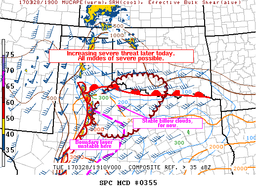 Mesoscale Discussion 355