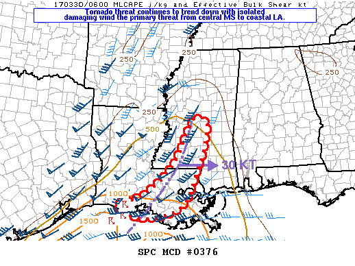 Mesoscale Discussion 376