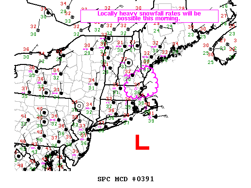 Mesoscale Discussion 391