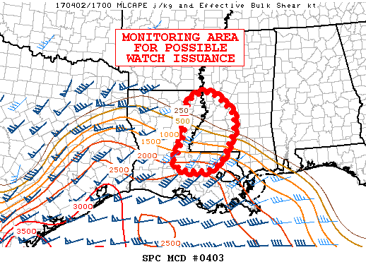 Mesoscale Discussion 403