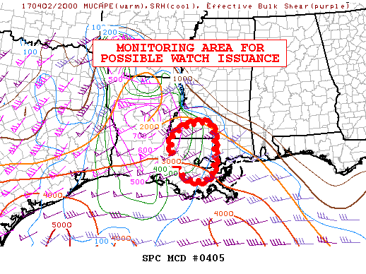 Mesoscale Discussion 405