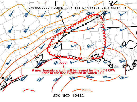 Mesoscale Discussion 411