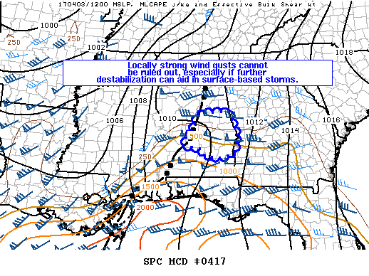 Mesoscale Discussion 417