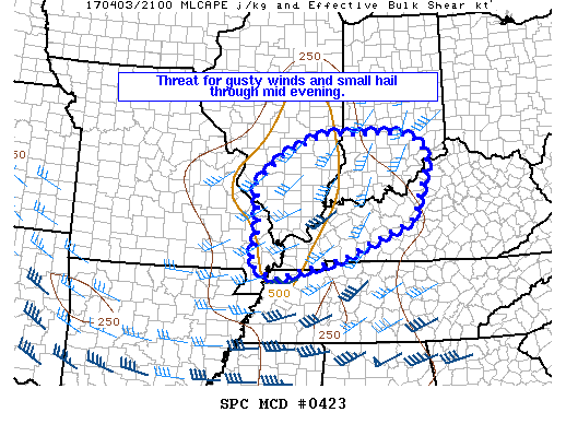Mesoscale Discussion 423