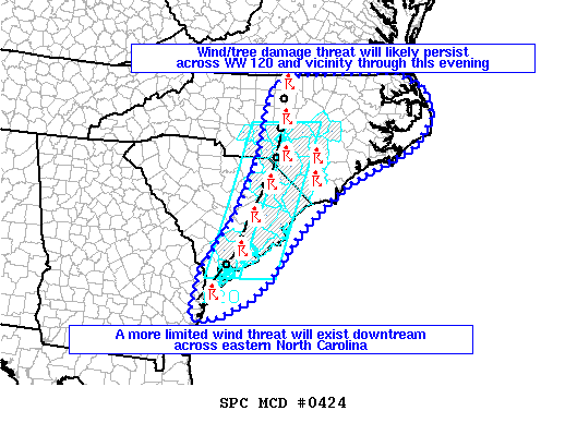 Mesoscale Discussion 424