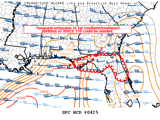 Mesoscale Discussion 425