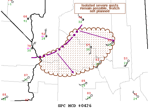 Mesoscale Discussion 426