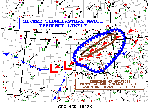 Mesoscale Discussion 428