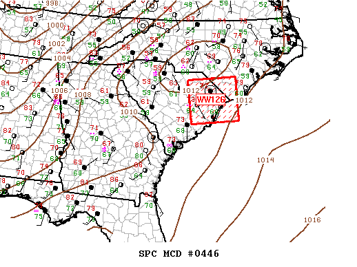 Mesoscale Discussion 446