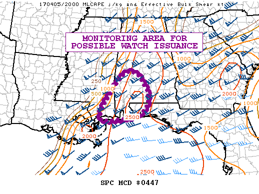 Mesoscale Discussion 447