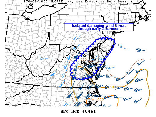Mesoscale Discussion 461