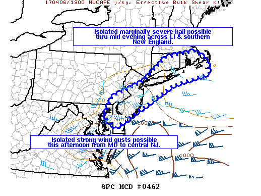 Mesoscale Discussion 462