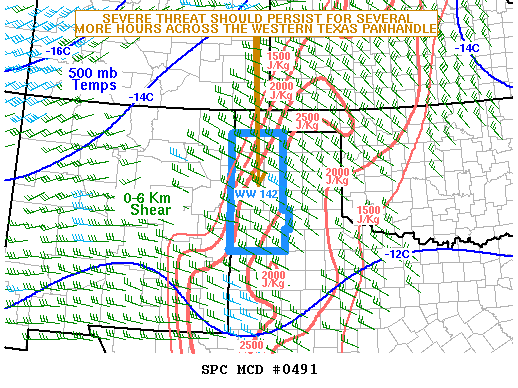 Mesoscale Discussion 491