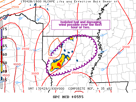 Mesoscale Discussion 595