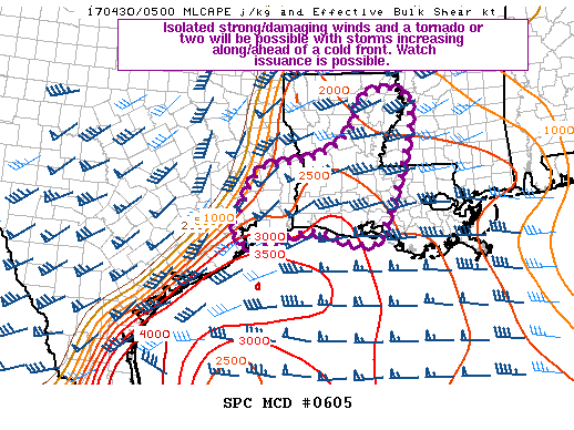 Mesoscale Discussion 605