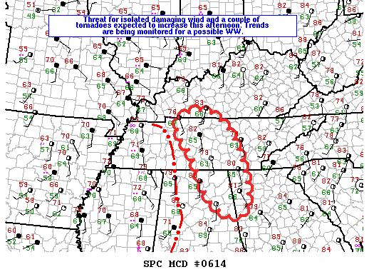 Mesoscale Discussion 614