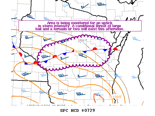 Mesoscale Discussion 729