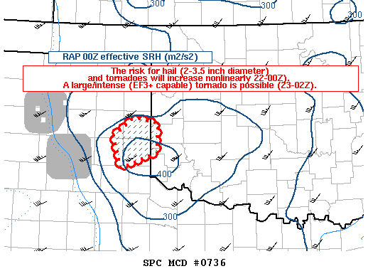Mesoscale Discussion 736