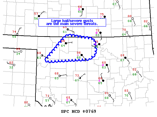 Mesoscale Discussion 769