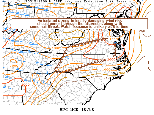 Mesoscale Discussion 780
