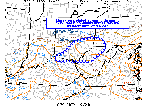 Mesoscale Discussion 785