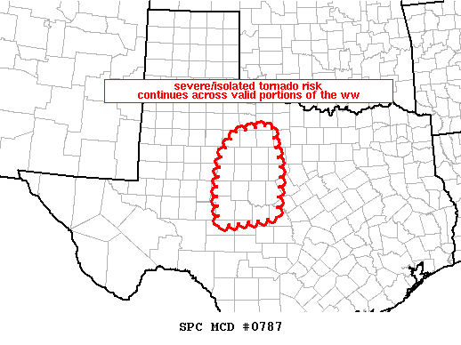 Mesoscale Discussion 787