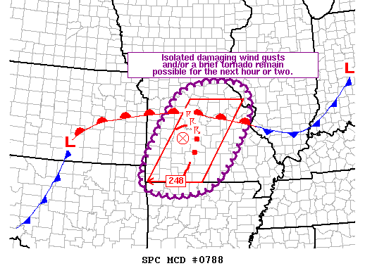 Mesoscale Discussion 788