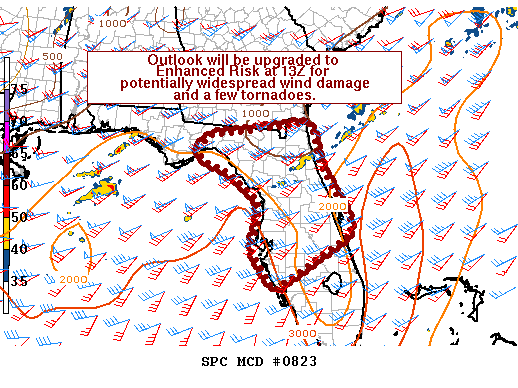 Mesoscale Discussion 823