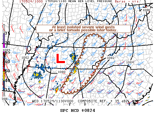 Mesoscale Discussion 824