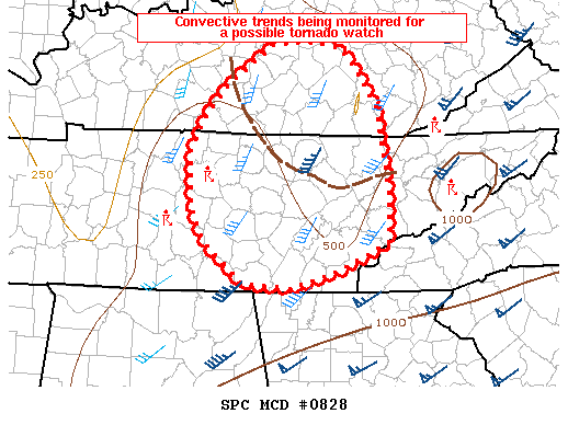 Mesoscale Discussion 828