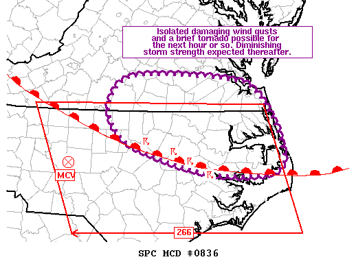 Mesoscale Discussion 836