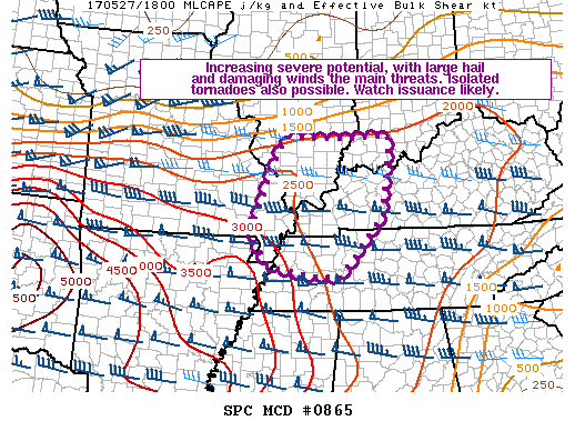 Mesoscale Discussion 865