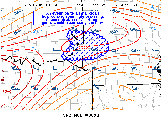 Mesoscale Discussion 891