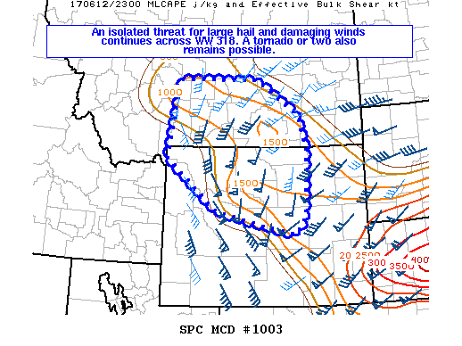 Mesoscale Discussion 1003