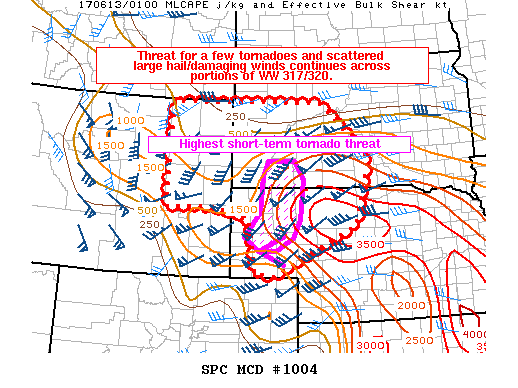 Mesoscale Discussion 1004