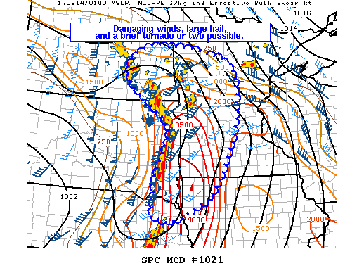 Mesoscale Discussion 1021