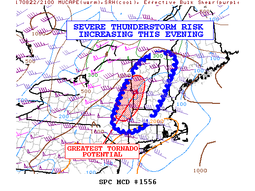 Mesoscale Discussion 1556