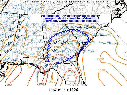 Mesoscale Discussion 1606