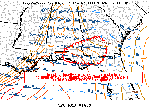 Mesoscale Discussion 1689