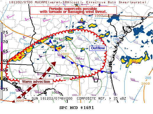 Mesoscale Discussion 1691