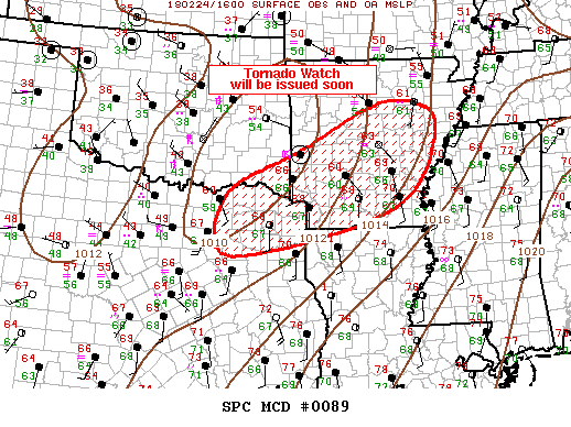 Mesoscale Discussion 89