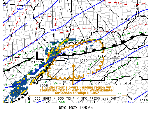 Mesoscale Discussion 95