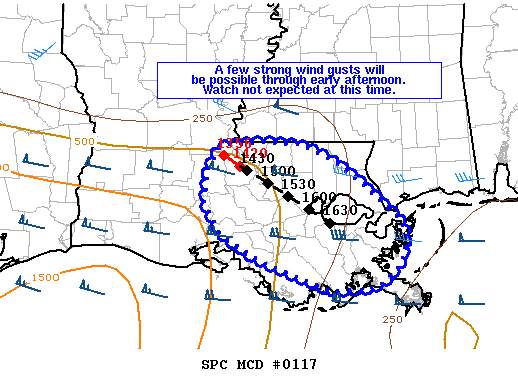 Mesoscale Discussion 117