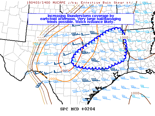 Mesoscale Discussion 204