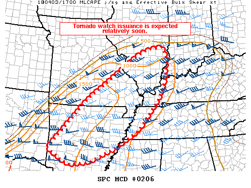 Mesoscale Discussion 206
