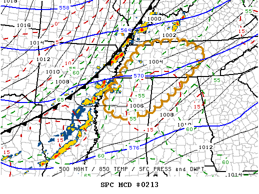 Mesoscale Discussion 213