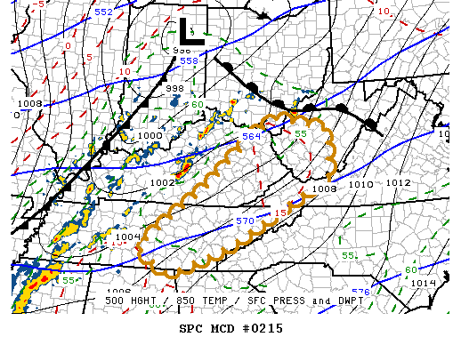 Mesoscale Discussion 215