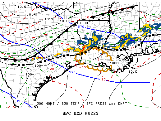 Mesoscale Discussion 229