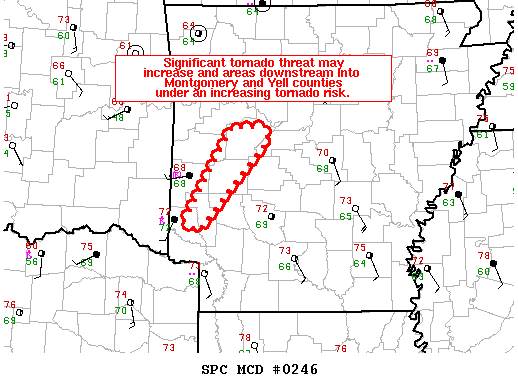 Mesoscale Discussion 246