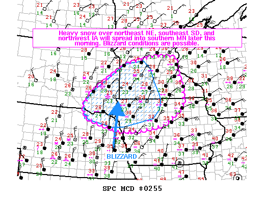 Mesoscale Discussion 255